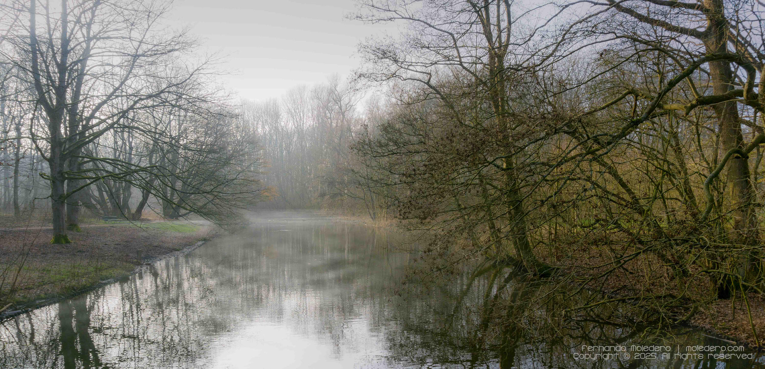 Misty morning view of a canal in Amsterdamse Bos, Amsterdam, with bare winter trees reflected in the calm water