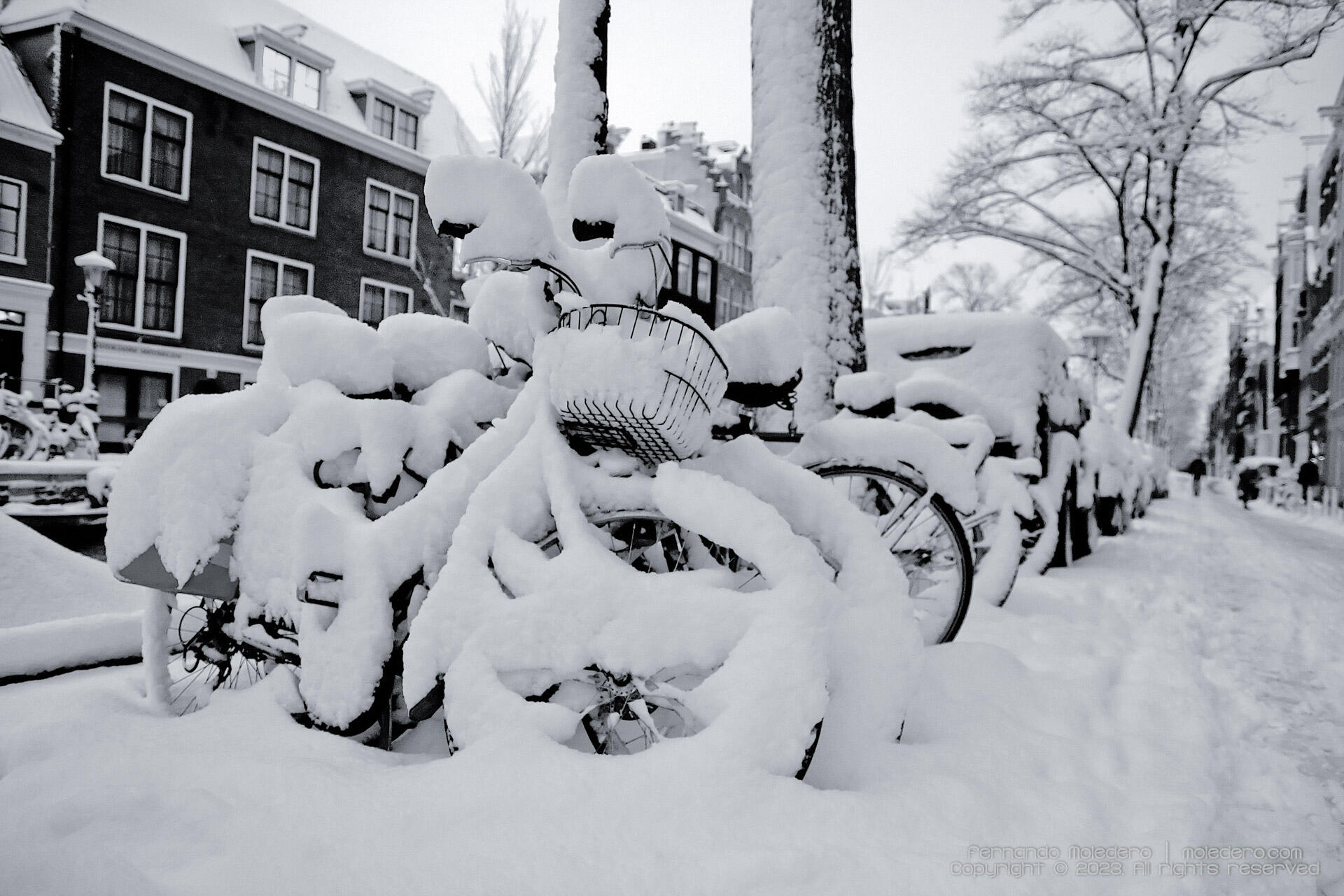 Bicycles in Jordaan, Amsterdam, covered in thick snow along a canal street with historic houses in the background