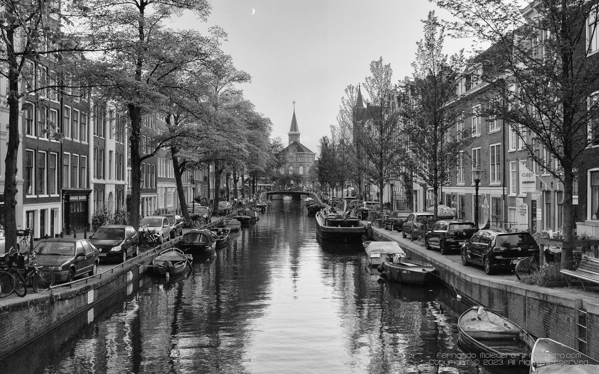 Bloemgracht canal in Amsterdam in black and white, with boats, trees, canal houses, and a church tower at the end of the canal