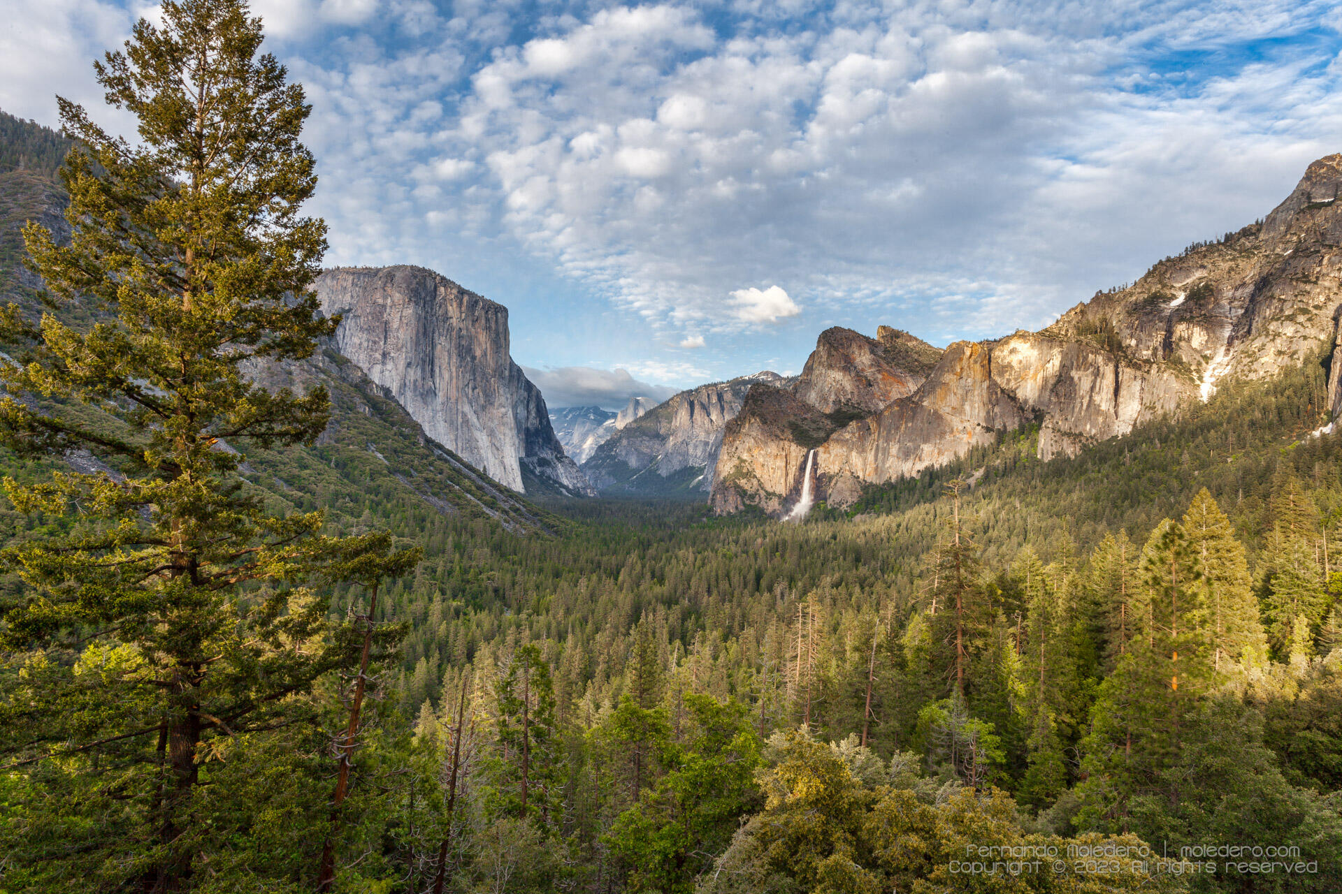 Panoramic view from Tunnel View in Yosemite National Park, California, USA, showing El Capitan, Bridalveil Fall, Half Dome, and the forested valley under a partly cloudy sky