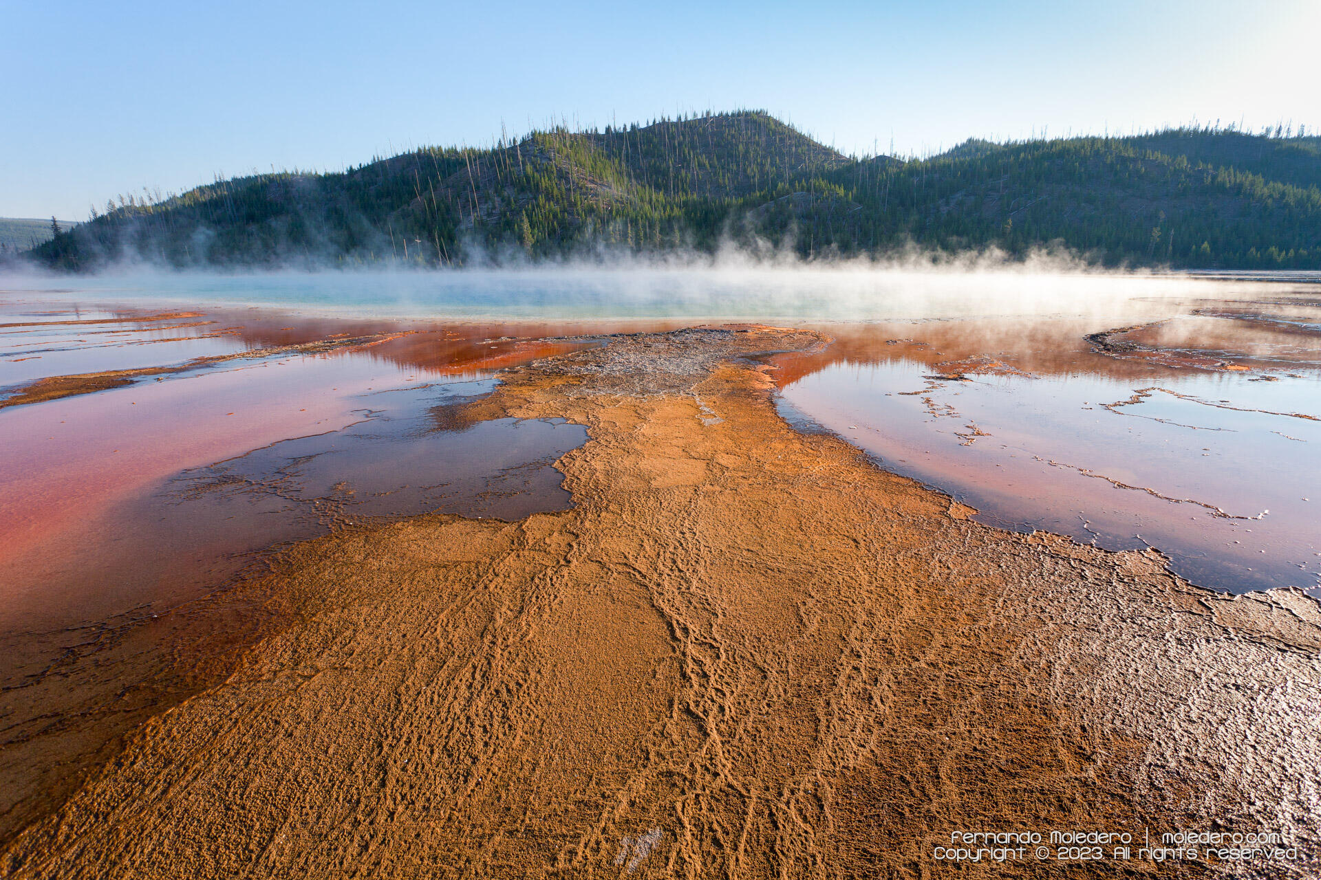 Ground-level view of the Grand Prismatic Spring in Yellowstone National Park, USA, showing orange and red microbial mats in the foreground, steam rising from the hot spring and forested hills in the background