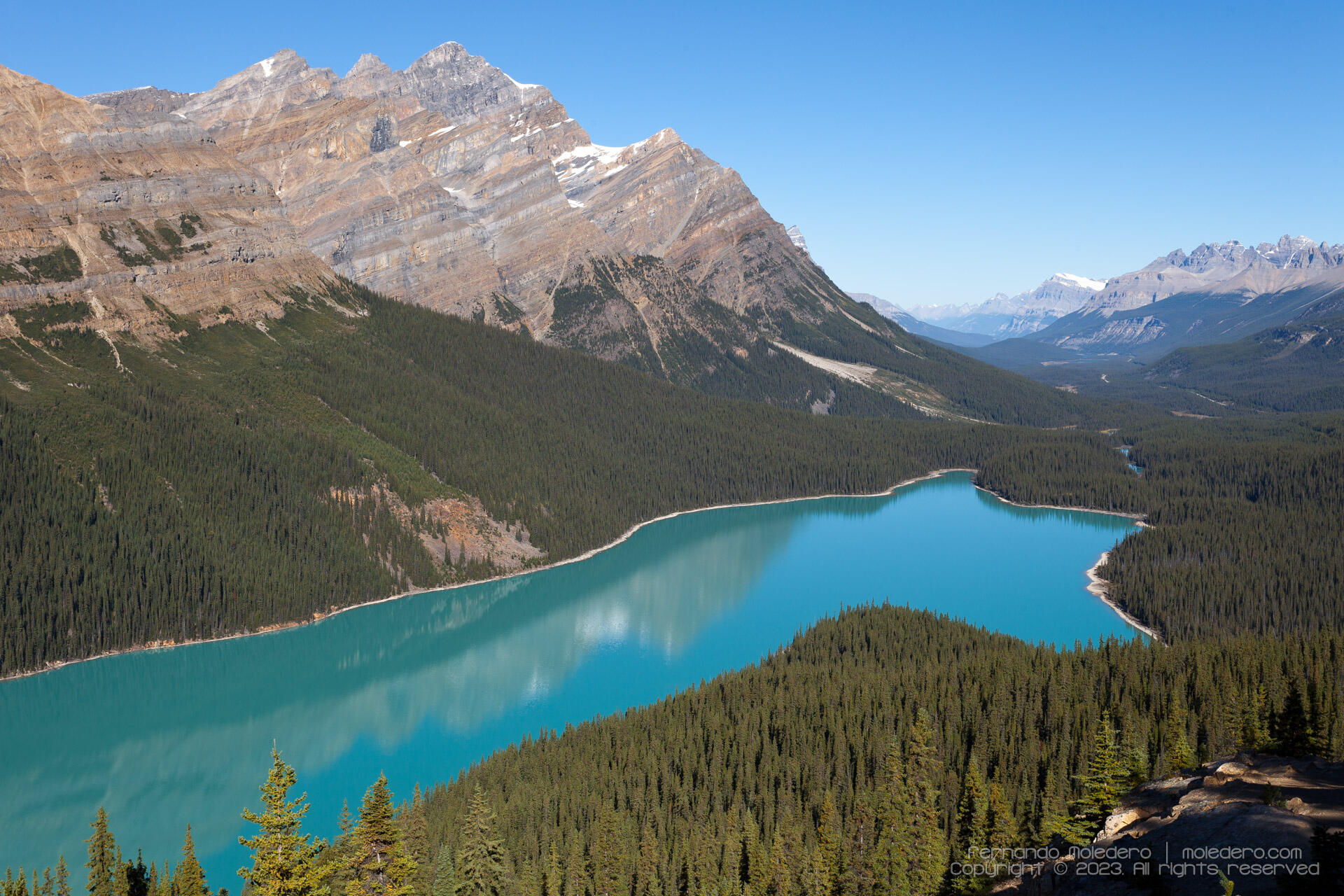 Panoramic view of Peyto Lake in Banff National Park, Alberta, Canada, with turquoise glacier-fed water, surrounding pine forests, and rocky peaks of the Canadian Rockies under a clear blue sky