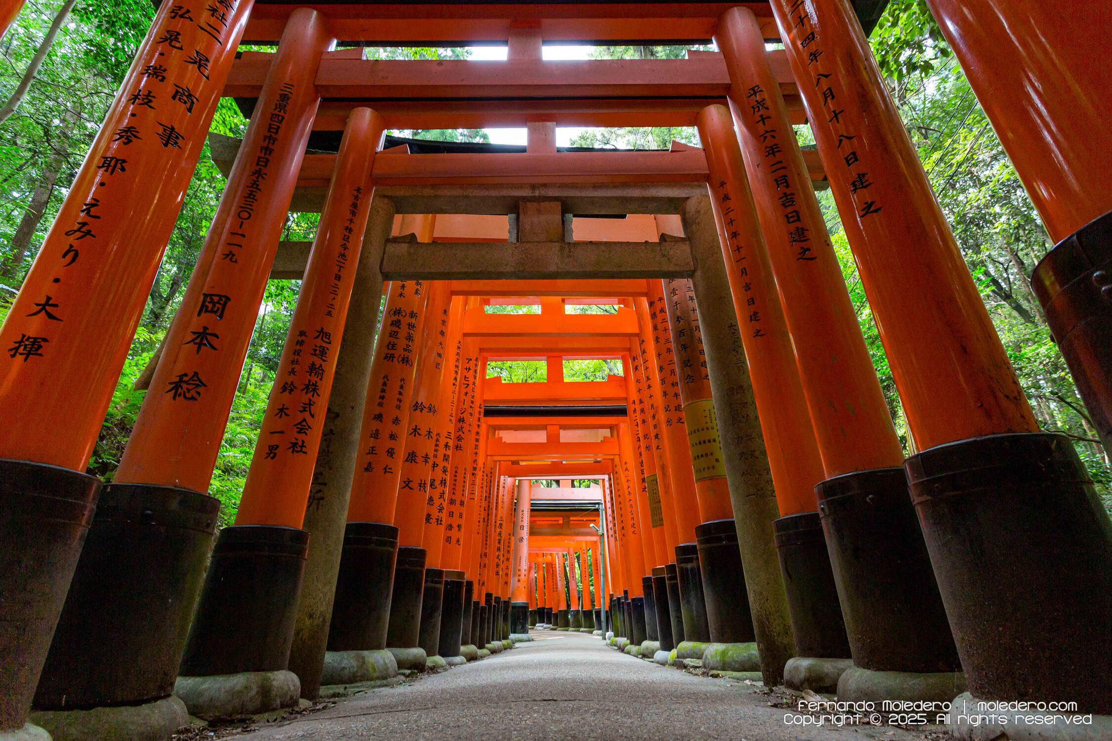 Low-angle view of the vermilion torii gates at Fushimi Inari Taisha shrine in Kyoto, Japan, showing repeating symmetry, Japanese inscriptions, and the forest surroundings