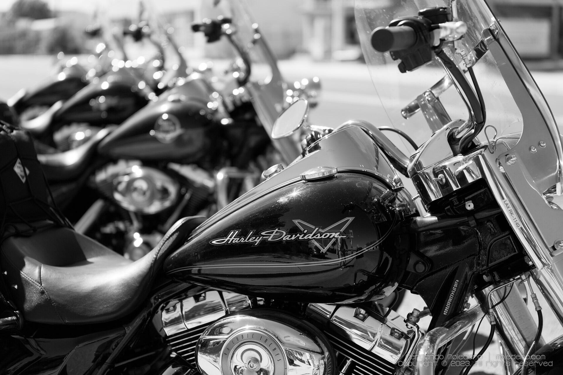 Black and white close-up of a Harley-Davidson motorcycle parked in a row, showing the fuel tank logo, chrome engine, and windshield